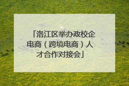洛江区举办政校企电商（跨境电商）人才合作对接会