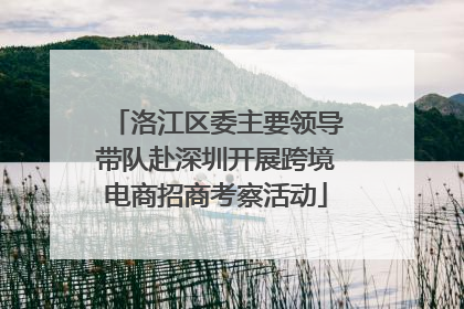 洛江区委主要领导带队赴深圳开展跨境电商招商考察活动