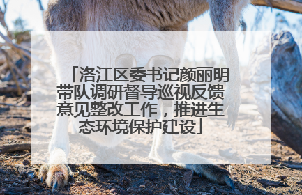 洛江区委书记颜丽明带队调研督导巡视反馈意见整改工作，推进生态环境保护建设