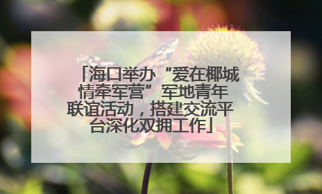 海口举办“爱在椰城 情牵军营”军地青年联谊活动，搭建交流平台深化双拥工作