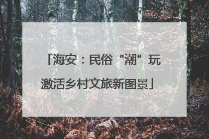 海安：民俗“潮”玩激活乡村文旅新图景