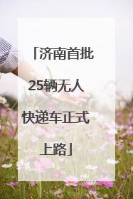 济南首批25辆无人快递车正式上路