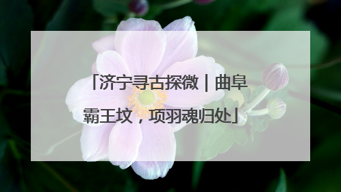 济宁寻古探微｜曲阜霸王坟，项羽魂归处