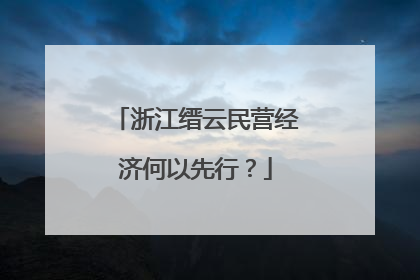 浙江缙云民营经济何以先行？