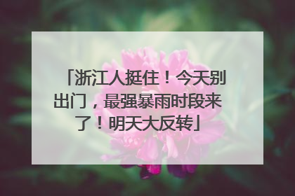 浙江人挺住！今天别出门，最强暴雨时段来了！明天大反转