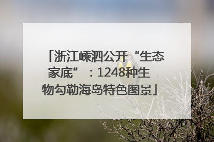 浙江嵊泗公开“生态家底”：1248种生物勾勒海岛特色图景
