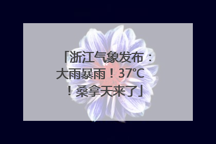 浙江气象发布：大雨暴雨！37℃！桑拿天来了