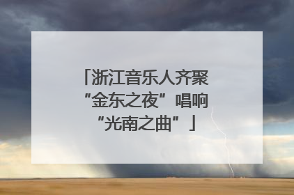 浙江音乐人齐聚“金东之夜”唱响“光南之曲”