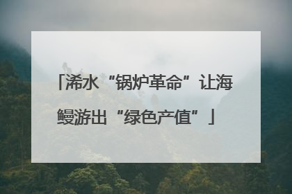 浠水“锅炉革命”让海鳗游出“绿色产值”