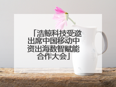 浩鲸科技受邀出席中国移动中资出海数智赋能合作大会