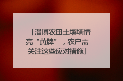 淄博农田土壤墒情亮“黄牌”，农户需关注这些应对措施