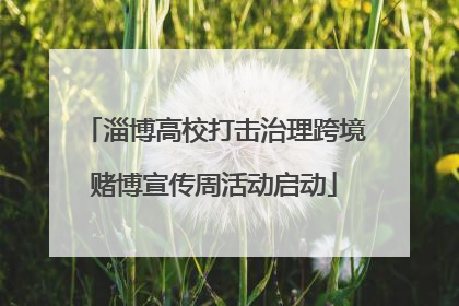 淄博高校打击治理跨境赌博宣传周活动启动