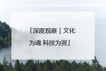 深度观察｜文化为魂 科技为翼