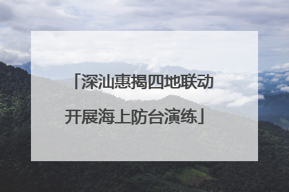 深汕惠揭四地联动开展海上防台演练