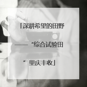 深耕希望的田野——“综合试验田”里庆丰收