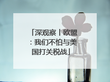 深观察丨欧盟：我们不怕与美国打关税战
