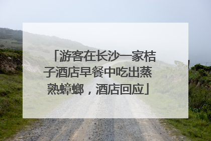 游客在长沙一家桔子酒店早餐中吃出蒸熟蟑螂，酒店回应