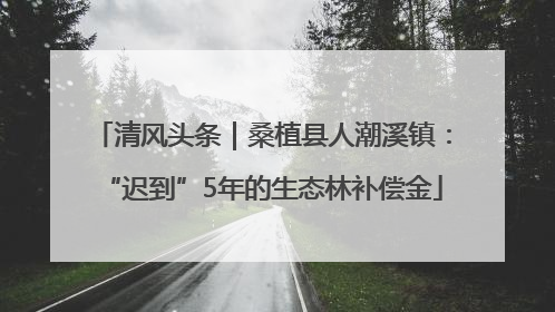 清风头条｜桑植县人潮溪镇：“迟到”5年的生态林补偿金
