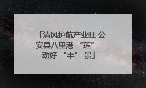 清风护航产业旺 公安县八里港 “莲” 动好 “丰” 景
