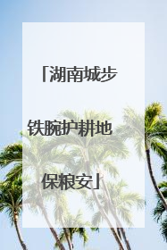 湖南城步铁腕护耕地保粮安