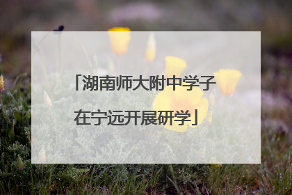 湖南师大附中学子在宁远开展研学