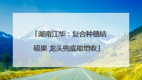 湖南江华：复合种植结硕果 龙头兜底助增收