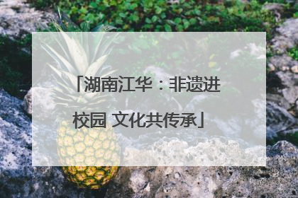 湖南江华：非遗进校园 文化共传承
