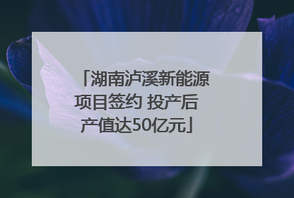 湖南泸溪新能源项目签约 投产后产值达50亿元