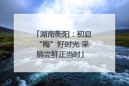 湖南衡阳：初夏“梅”好时光 采摘尝鲜正当时