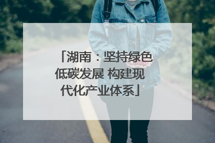 湖南：坚持绿色低碳发展 构建现代化产业体系