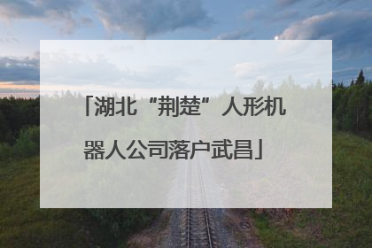 湖北“荆楚”人形机器人公司落户武昌