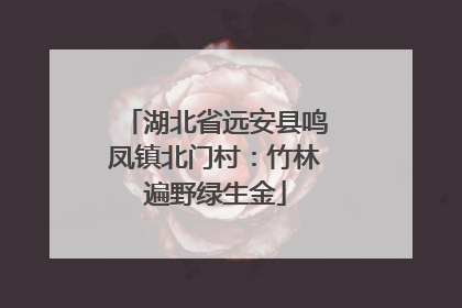 湖北省远安县鸣凤镇北门村：竹林遍野绿生金
