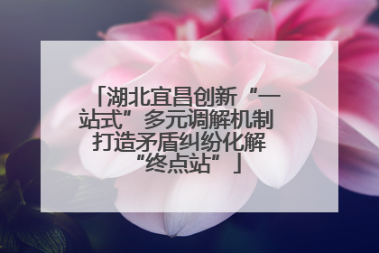 湖北宜昌创新“一站式”多元调解机制 打造矛盾纠纷化解“终点站”