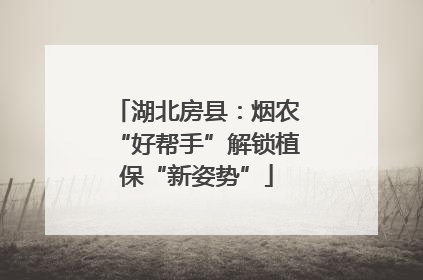 湖北房县：烟农“好帮手”解锁植保“新姿势”