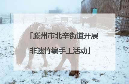 滕州市北辛街道开展非遗竹编手工活动