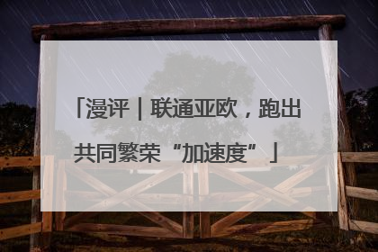 漫评｜联通亚欧，跑出共同繁荣“加速度”