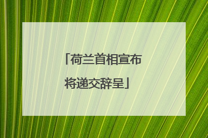 荷兰首相宣布将递交辞呈