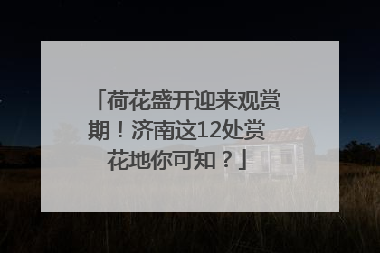 荷花盛开迎来观赏期！济南这12处赏花地你可知？