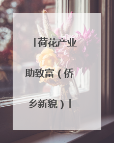 荷花产业助致富（侨乡新貌）
