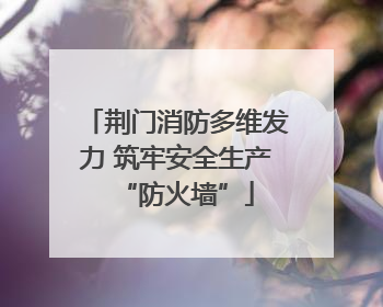 荆门消防多维发力 筑牢安全生产“防火墙”