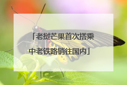 老挝芒果首次搭乘中老铁路销往国内