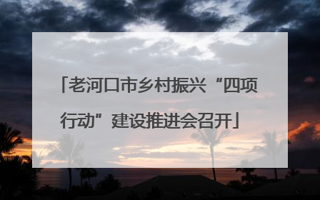 老河口市乡村振兴“四项行动”建设推进会召开