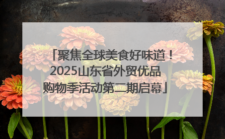 聚焦全球美食好味道！2025山东省外贸优品购物季活动第二期启幕