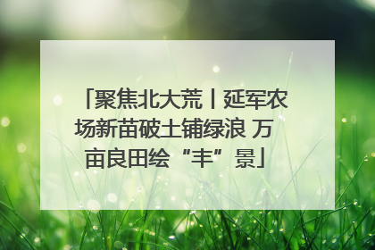 聚焦北大荒丨延军农场新苗破土铺绿浪 万亩良田绘“丰”景