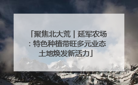 聚焦北大荒｜延军农场：特色种植带旺多元业态 土地焕发新活力