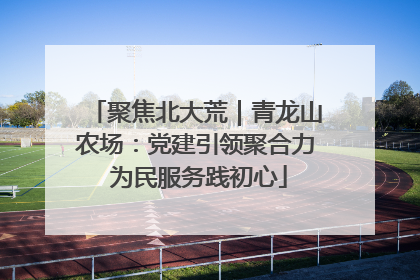 聚焦北大荒｜青龙山农场：党建引领聚合力 为民服务践初心