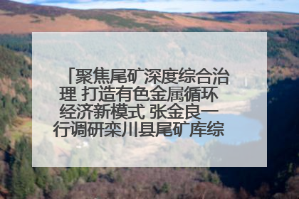 聚焦尾矿深度综合治理 打造有色金属循环经济新模式 张金良一行调研栾川县尾矿库综合治理工作