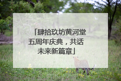 肆拾玖坊黄河堂五周年庆典，共话未来新篇章