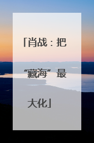 肖战：把“藏海”最大化
