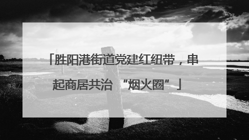 胜阳港街道党建红纽带，串起商居共治 “烟火圈”